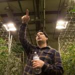 Green Haven owner Vince Nguyen points at the venting which uses filters and fans to keep the smell of marijuana from leaving the building in Darrington. (Andy Bronson / The Herald)