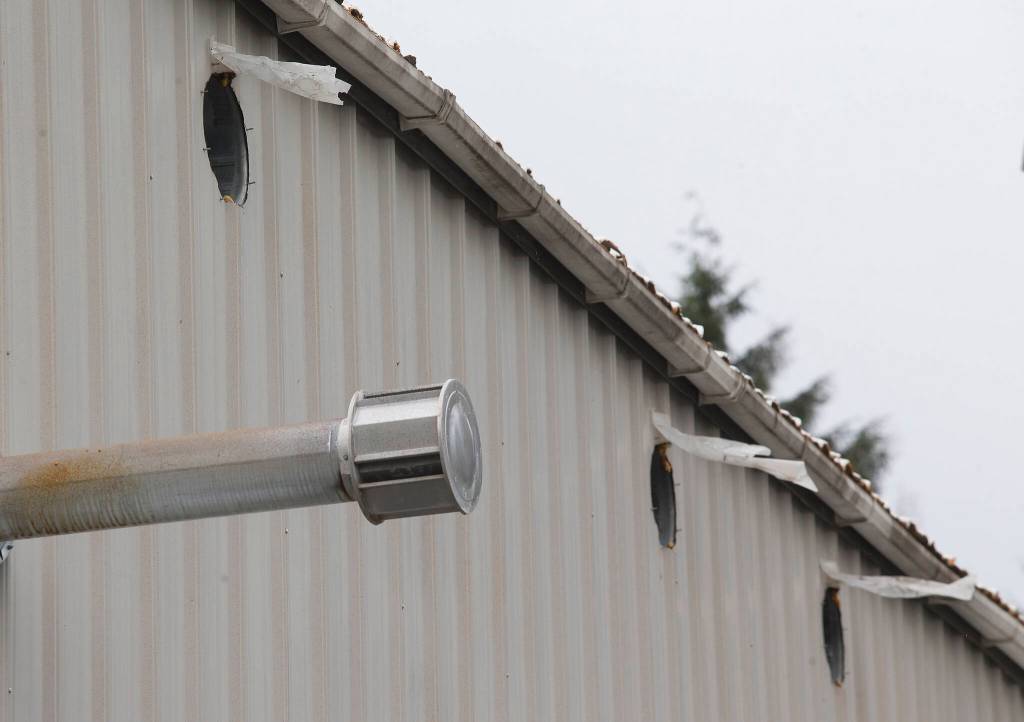 Material over vents lets Green Haven owner Vince Nguyen know that fans, which help regulate temperature in the building, are working. (Andy Bronson / The Herald)
