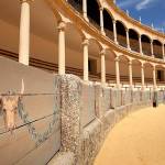 Bullfighting comes with rituals, pageantry, and brutality.