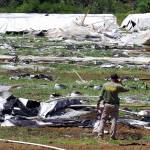 Josephine County Sheriff Dave Daniel stands amid the debris of plastic hoop houses destroyed by law enforcement, used to grow cannabis illegally, near Selma, Oregon, on June 16. (Shaun Hall/Grants Pass Daily Courier via AP, File)