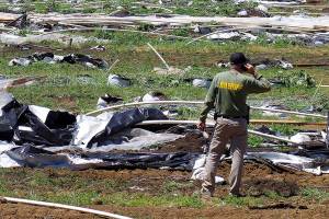 FILE - Josephine County Sheriff Dave Daniel stands amid the debris of plastic hoop houses destroyed by law enforcement, used to grow cannabis illegally, near Selma, Ore., on June 16, 2021. Over 100 workers, most or all of them immigrants, were found at the site. Thousands of immigrants have been working on illegal marijuana farms purportedly run by foreign cartels in southern Oregon, living in squalid conditions and sometimes being cheated by their employers. (Shaun Hall/Grants Pass Daily Courier via AP, File)