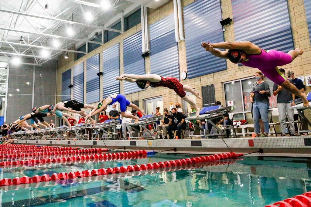 The start of the 100 yard freestyle in the 3A District Championships Saturday afternoon the at the Snohomish Aquatic Center on November 6, 2021. (Kevin Clark / The Herald)
