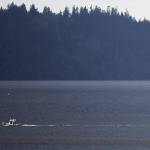A police boat crosses Possession Sound on Wednesday to Hat Island, where the body of a man was found in Puget Sound. A kayaker was reported missing on Tuesday. (Olivia Vanni / The Herald)