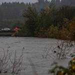 People step out of their vehicles along the Pioneer Highway to look at the rising water in Cook Slough on Friday in Silvana. (Olivia Vanni / The Herald)