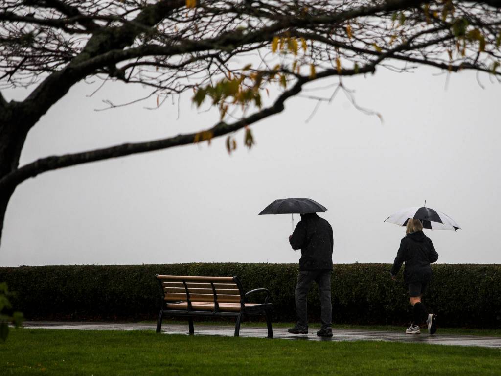 People walk through Grand Avenue Park in Everett during heavy rain Friday. (Olivia Vanni / The Herald)