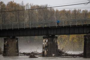 A person looks out over the Stillaguamish River and the debris caught underneath the Centennial Trail bridge that crosses the river on Friday, Nov. 12, 2021 in Arlington, Wa. (Olivia Vanni / The Herald)
