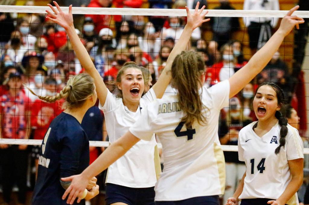 Arlingtons Chloe Lewis, left to right, Emily Mekelburg, Malia Shepherd and Chloe Fochesato celebrate a point against Stanwood Thursday evening during the 3A District volleyball playoffs at Marysville Pilchuck High School on November 11, 2021. (Kevin Clark / The Herald)