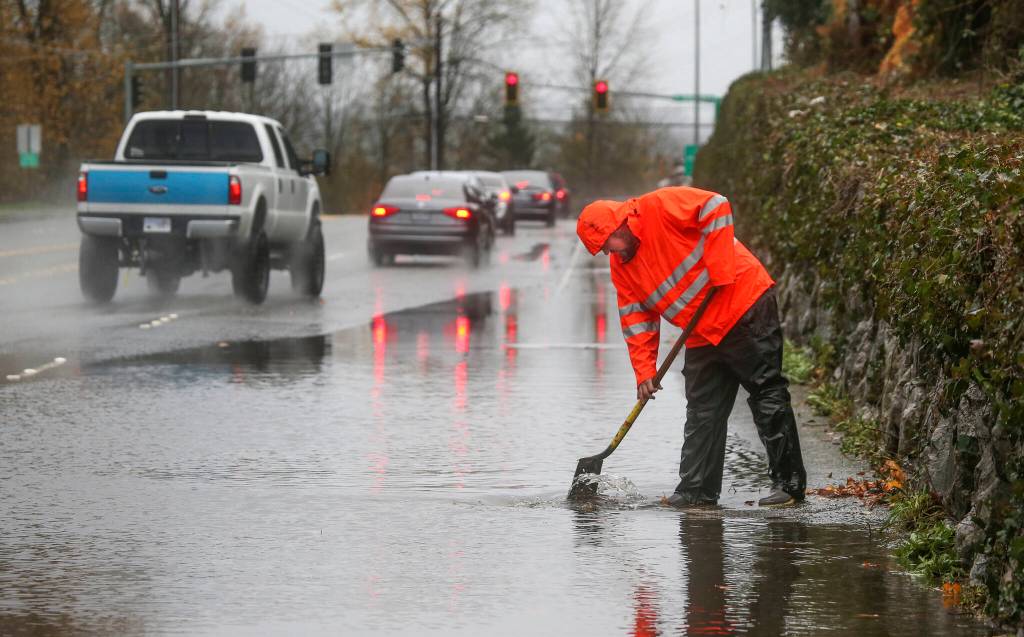 The City of Everetts Joel Palm shovels leaves and debris from a grate along Marine View Drive as water floods a lane on Monday, Nov. 15, 2021 in Everett, Washington. (Andy Bronson / The Herald)