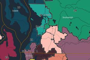 The Washington State Redistricting Commission approved this Legislative District map and released it to the public Tuesday night. It is not the final map — the Washington Supreme Court has jurisdiction to adopt the final districting plan. (Washington State Redistricting Commission)