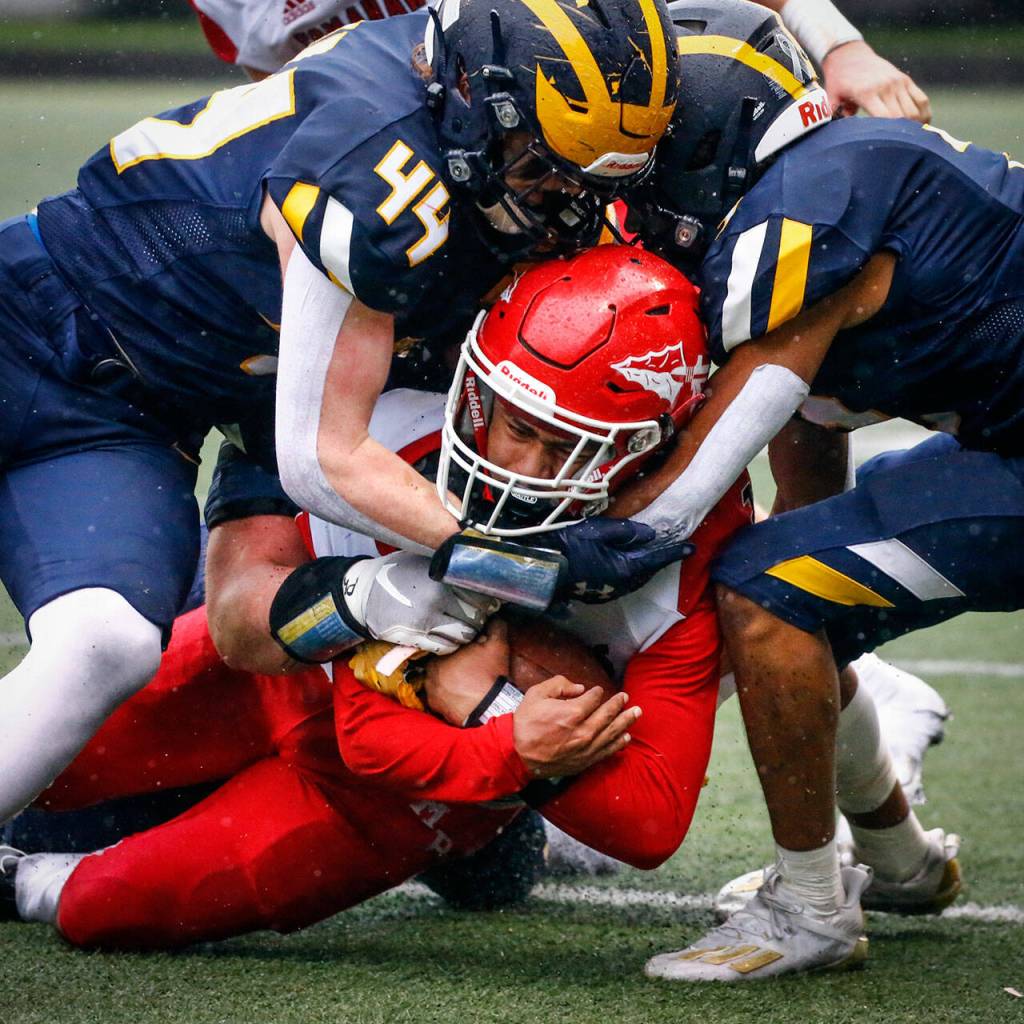Marysville-Pilchucks Gaylan Gray is tackled by Bellevues George Kruger, left, and Ishaan Daniels Saturday afternoon at Memorial Stadium in Seattle on November 27, 2021. The Tomahawks fell to the Wolverines 27-3 ending their playoff run. (Kevin Clark / The Herald)