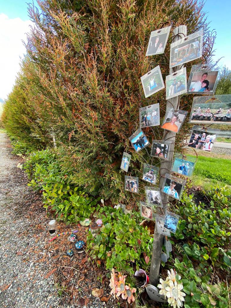 Forty-three trees at the site of the 2014 Oso mudslide are adorned with photos and memorabilia to represent each of the victims. (Sue Misao / Herald file)