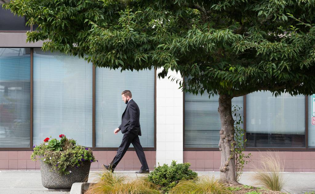 A man walks past a Japanese snowbell tree near Wall and Colby in downtown Everett on Oct. 4. (Andy Bronson / The Herald)
