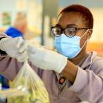 Marry J. Gentry bags grapes for distribution at the Everett Food Bank on Dec. 1. (Kevin Clark / The Herald)