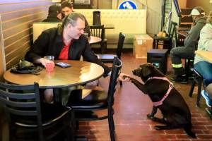 Regulars Michael Fay and Java greet one another Friday afternoon at Brews Almighty in Everett on December 24, 2021.  (Kevin Clark / The Herald)