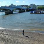 Beachcombing on London’s riverbank.