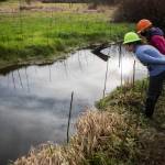 Nicole Vandeputte and Emma Atkinson look for small cutthroat trout darting around a deep pool in Arlington. (Olivia Vanni / The Herald)