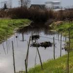 Cars drive by the newly redirected section of the Olaf Strad tributary on Wednesday in Arlington. (Olivia Vanni / The Herald)