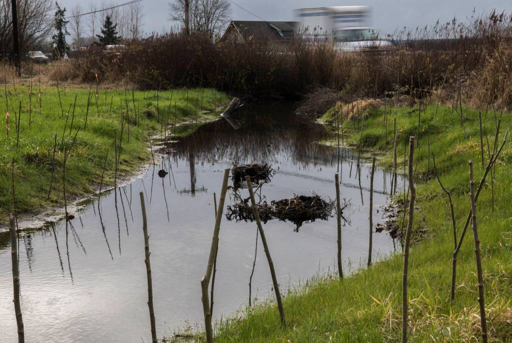 Cars drive by the newly redirected section of the Olaf Strad tributary on Wednesday in Arlington. (Olivia Vanni / The Herald)
