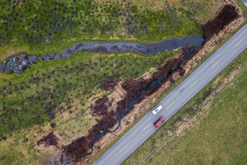 The old route of the Olaf Strad stream is visible along 67th Avenue in Arlington. (Olivia Vanni / The Herald)