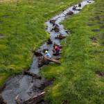 Nicole Vandeputte and Emma Atkinson with Adopt A Stream look for spawning salmon in a newly redirected section of the Olaf Strad tributary on Wednesday, Dec. 15, 2021 in Arlington, Wa. (Olivia Vanni / The Herald)