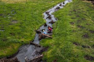 Nicole Vandeputte and Emma Atkinson with Adopt A Stream look for spawning salmon in a newly redirected section of the Olaf Strad tributary on Wednesday, Dec. 15, 2021 in Arlington, Wa. (Olivia Vanni / The Herald)