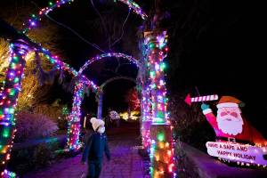 Nolan Torres, 4, runs through the entrance to Wintertide Lights in the Everett Arboretum on Thursday, Dec. 9, 2021 in Everett, Wa. (Olivia Vanni / The Herald)