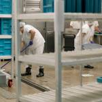 In this 2019 photo, workers are shown in the kitchen of the U.S. Immigration and Customs Enforcement detention facility in Tacoma. (AP Photo/Ted S. Warren,File)