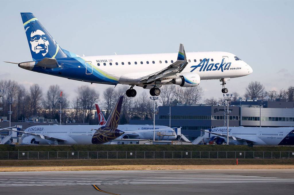 An Alaska Airline plane lands at Paine Field on Jan. 23. (Kevin Clark / The Herald)