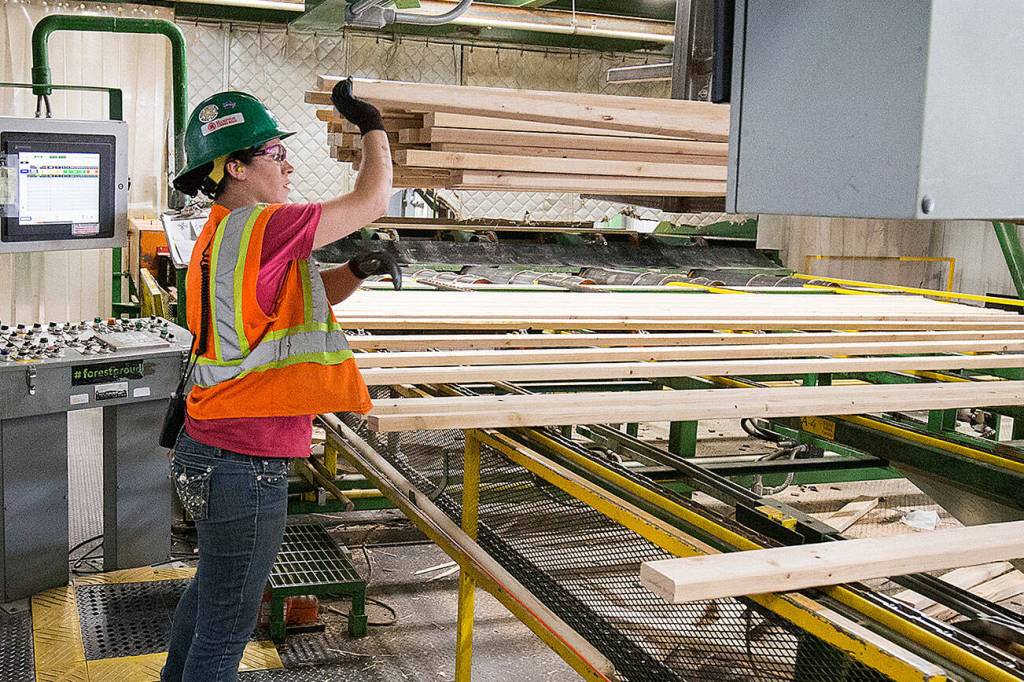 Jessica Ward runs a stacker at Hampton Mill in Darrington. (Andy Bronson / The Herald)