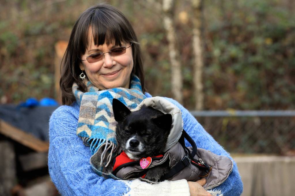 Penelope Protheroe, a volunteer with Angel Resource Connection, with Indy in Granite Falls on Dec. 17. (Kevin Clark / The Herald)