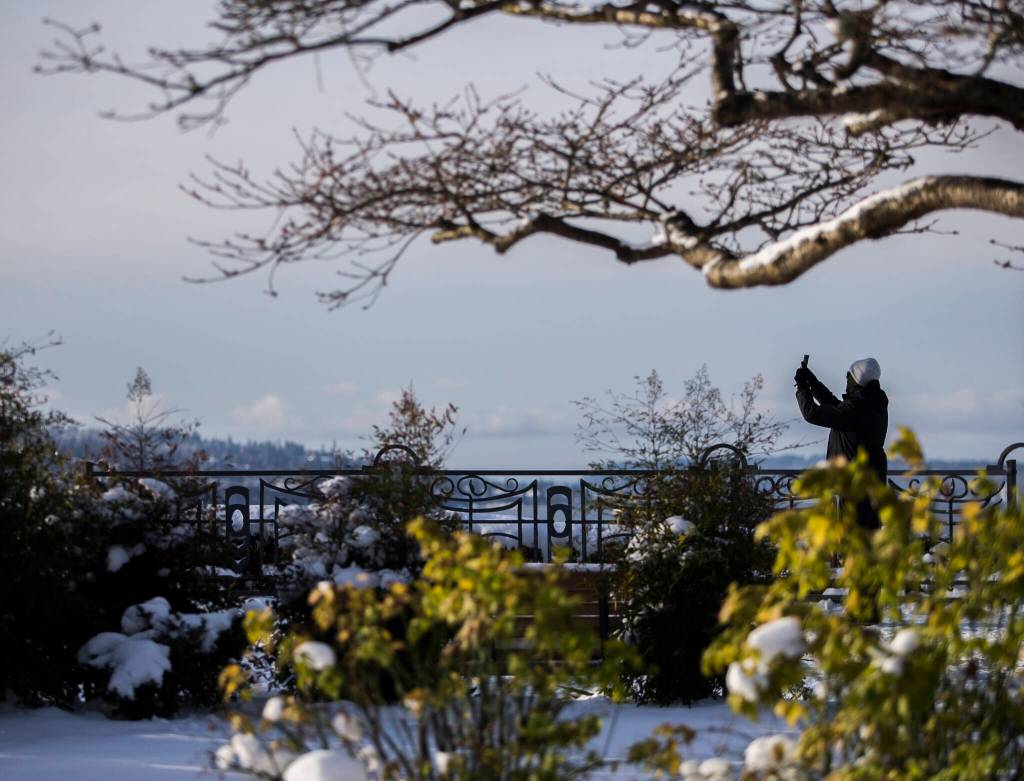 A person pauses to take a photograph at Grand Avenue Park on Monday in Everett. (Olivia Vanni / The Herald)