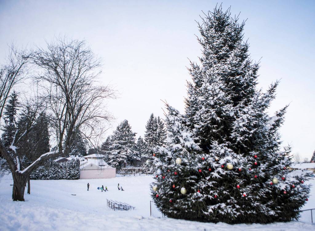 Children sled in the View Ridge neighborhood Monday in Everett. (Olivia Vanni / The Herald)