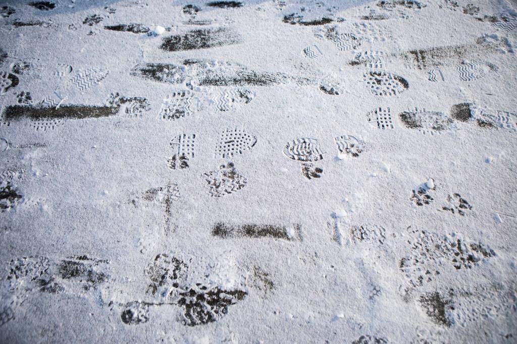 Shoe and paw imprints are visible in the ice along Grand Avenue on Monday in Everett. (Olivia Vanni / The Herald)