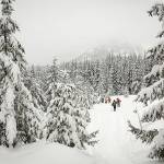 Gold Creek Trail near Snoqualmie Pass is a safe place for snowshoeing. Many popular trails in the summer are deathtraps in winter due to avalanches. (Photo by Emma Cassidy)