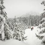 Snowshoeing 
Gold Creek Trail
Outdoor Leadership Training Program
Washington Trails Association
February 4, 2017
Photo by Emma Cassidy @eacas
