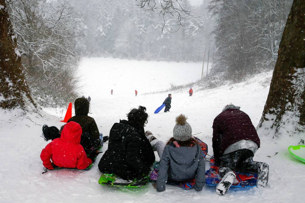Sledders awaits their turn on the slopes Forest Park on Sunday afternoon in Everett. (Kevin Clark / The Herald)