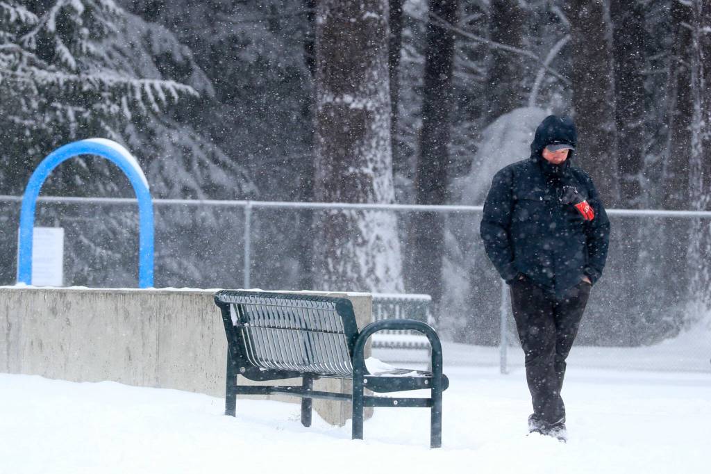 A park goer braces against a sudden gust at Forest Park on Sunday afternoon in Everett. (Kevin Clark / The Herald)