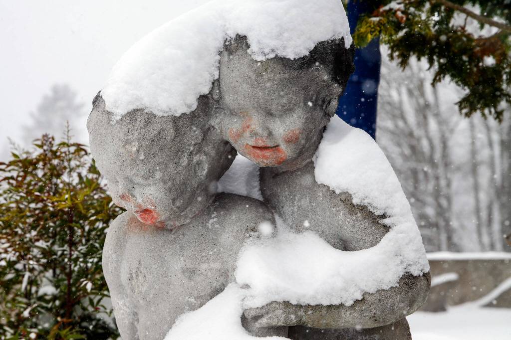 Snow drapes over statues at Forest Park on Sunday afternoon in Everett. (Kevin Clark / The Herald)