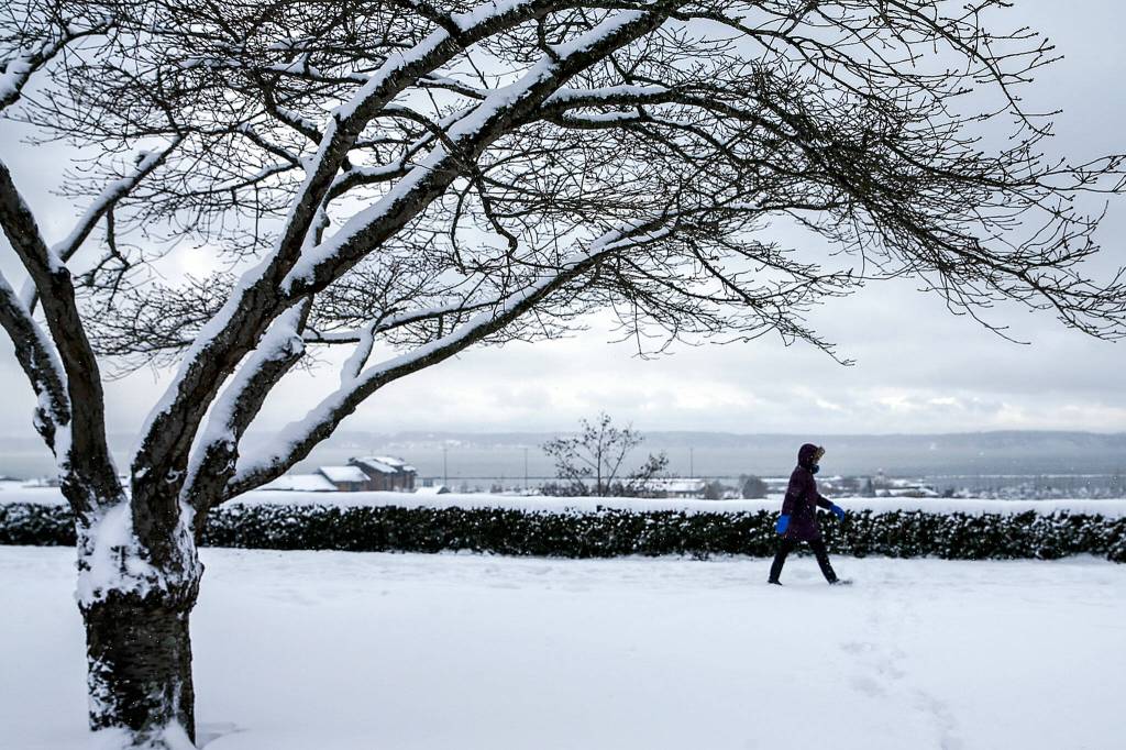 A walker trudges through the snows of Grand Avenue Park on Sunday afternoon in Everett. (Kevin Clark / The Herald)