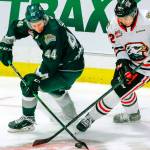 Everett's Aidan Sutter, left, and Portland's Marcus Nguyen cross stick for the puck in the second period Friday night at the Angel of the Winds Arena in Everett on October 8, 2021. (Kevin Clark / The Herald)