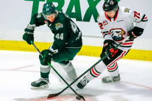 Everett's Aidan Sutter, left, and Portland's Marcus Nguyen cross stick for the puck in the second period Friday night at the Angel of the Winds Arena in Everett on October 8, 2021. (Kevin Clark / The Herald)