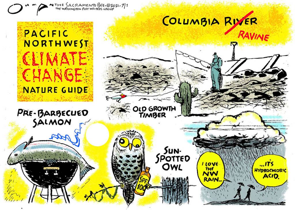 Jack Ohman, Sacramento Bee