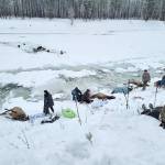 Rescuers work to save elk stuck in the freezing Kettle River on Christmas Eve. (Rylee Stuart)