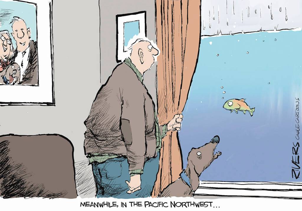 toon