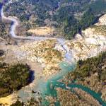 The Oso landslide is shown in this March 24, 2014 aerial photo near Arlington. (AP Photo/Ted S. Warren, file)