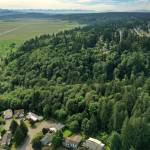 The forested Wood Creek drainage and Burl Place of the Valley View neighborhood (lower left), where several homes have slid or slumped down an unstable slope. (Chuck Taylor / Herald file)