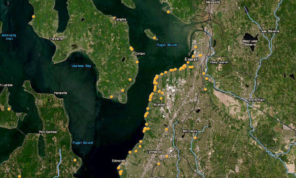 Landslides are clustered along Everett's coast in this image from NASA