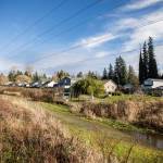 Houses along 88th Drive SE are visible from the Powerline Trail in Lake Stevens. (Olivia Vanni / The Herald)
