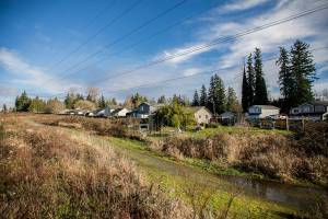 Houses along 88th Drive SE visible from the utility access road slated to become the Powerline Trail on Thursday, Jan. 13, 2022 in Lake Stevens, Washington. (Olivia Vanni / The Herald)
