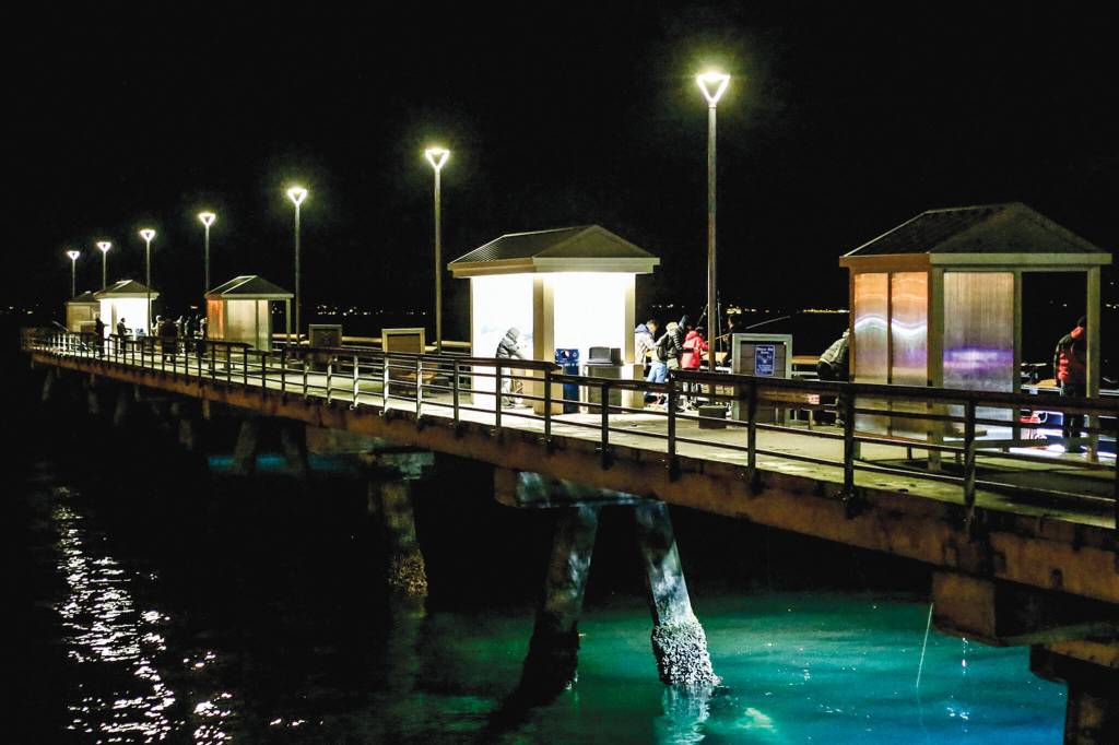 Cold winter nights draw squid jiggers to the Edmonds Fishing Pier. (Kevin Clark / The Herald)